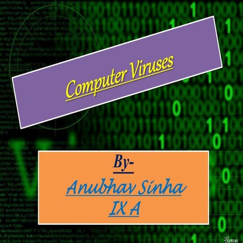 Computer viruses - A daily harm