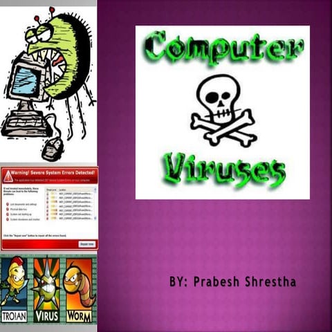 Computer viruses
