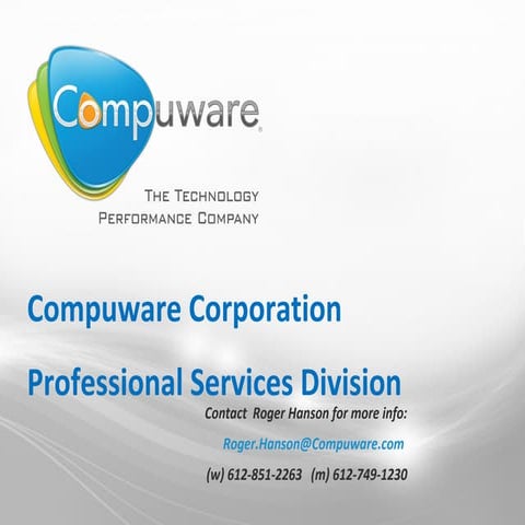 Compuware Professional Services Overview