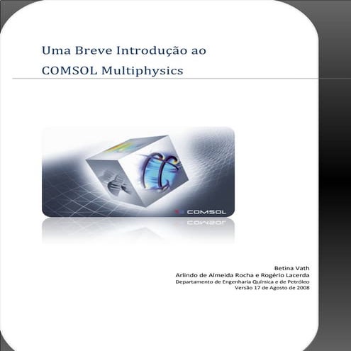 Comsol 2008