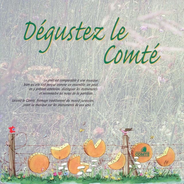 Comté Guide Dégustation