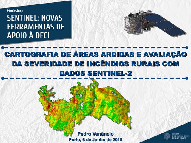 Cartografia de Áreas Ardidas e Avaliação da Severidade de Incêndios Rurais com Dados Sentinel-2