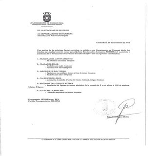 Comunicacion concejala festejos luc...