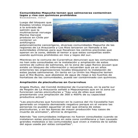 Comunidades mapuche temen que salmoneras contaminen lagos y ríos con químicos...
