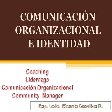 Comunicación Organizacional - Liderazgo. Identidad.