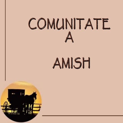 Comunitatea amish f 1.3