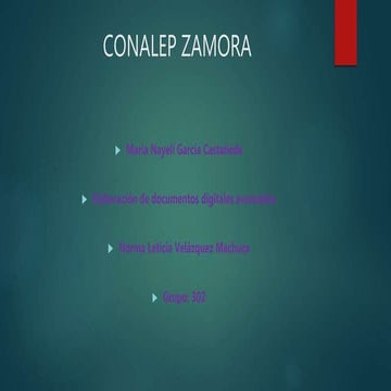 Conalep zamora