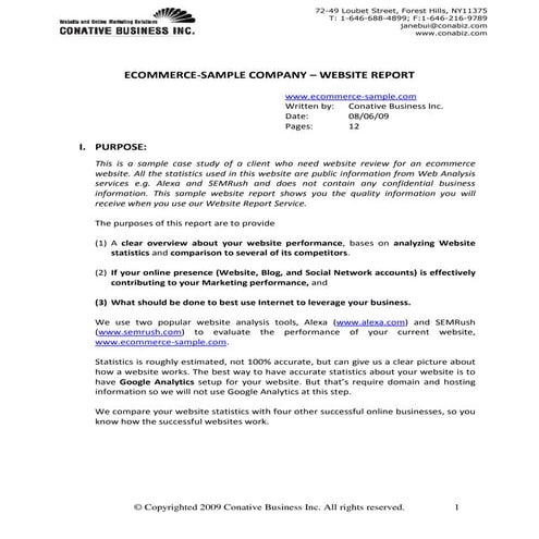 Sample Ecommerce - Website Report v2