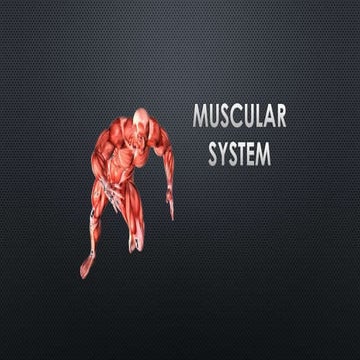 Concentric and isometric