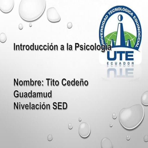 Concepcion del hombre