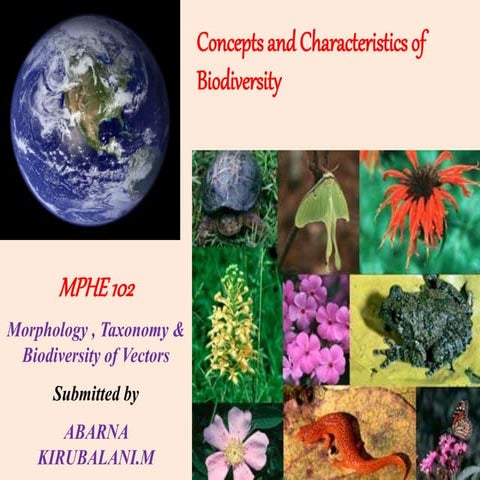 Concept and characteristics of biodiversity