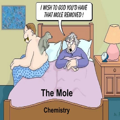 The Mole