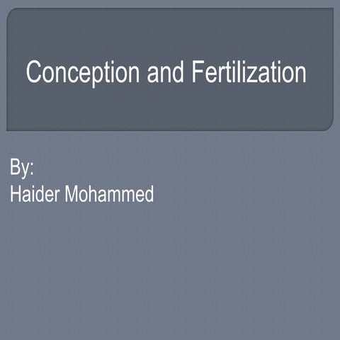 Conception and fertilization   