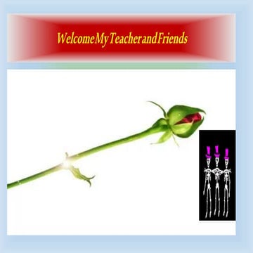 Conception presentation