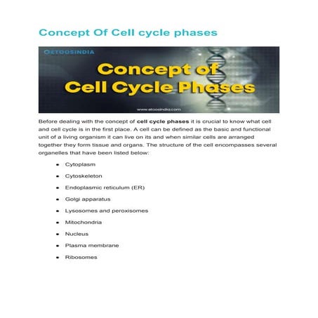 Concept Of Cell cycle phases.docx