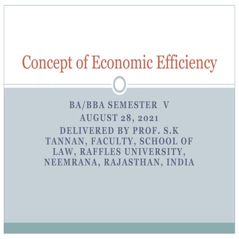 Concept of economic efficiency