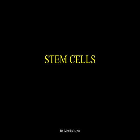 stem cells