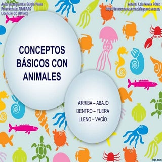 Conceptos básicos animales