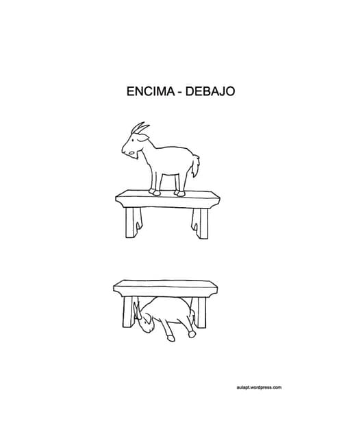 Conceptos basicos