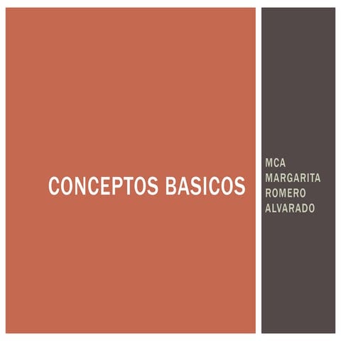 Conceptos basicos