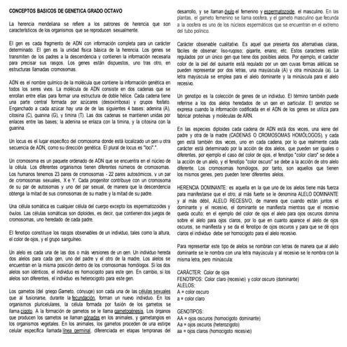 CONCEPTOS BASICOS DE GENETICA GRADO OCTAVO.docx