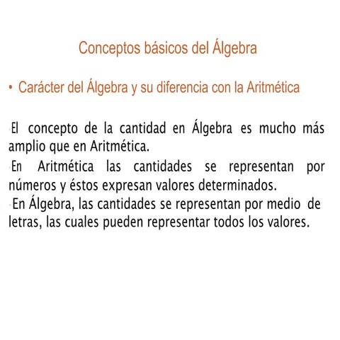 Conceptos basicos del algebra