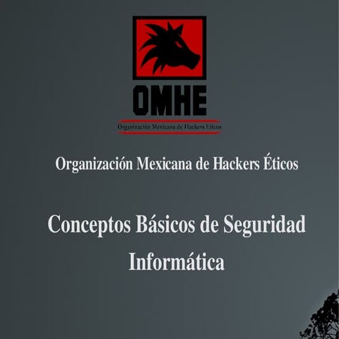 Conceptosbasicosdeseguridadinformatica