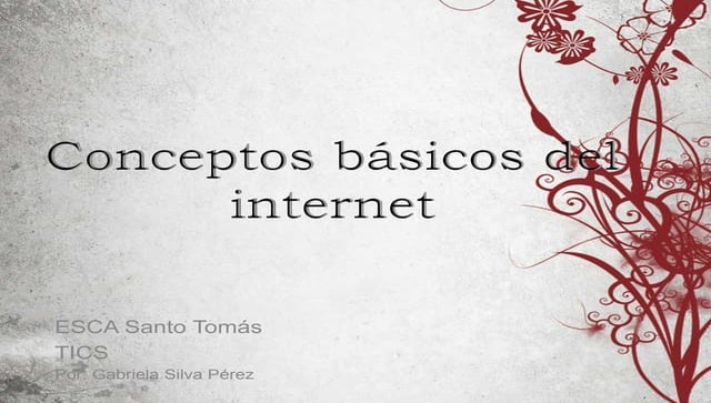 Conceptos básicos del internet