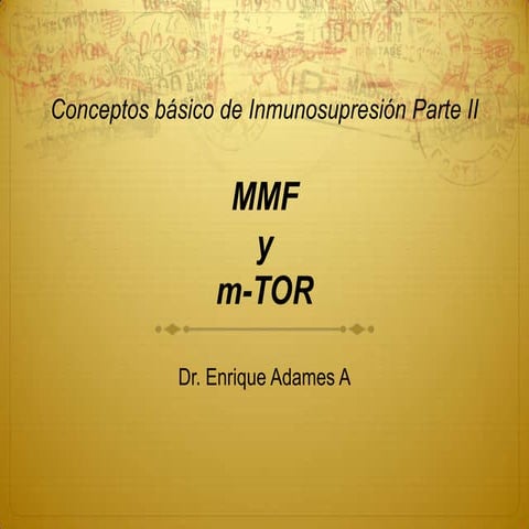 Conceptos básicos de mTOR y MMF