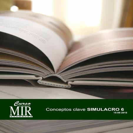Conceptos clave sim6 | PDF