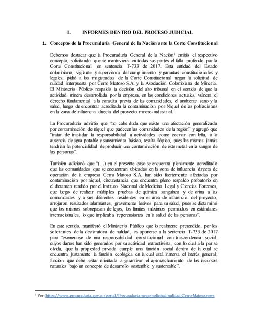 CONCEPTOS DE ENTIDADES SOBRE CASO CERRO MATOSO