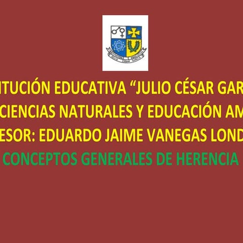 C O N C E P T O S  G E N E R A L E S  D E  H E R E N C I A (97  2003)
