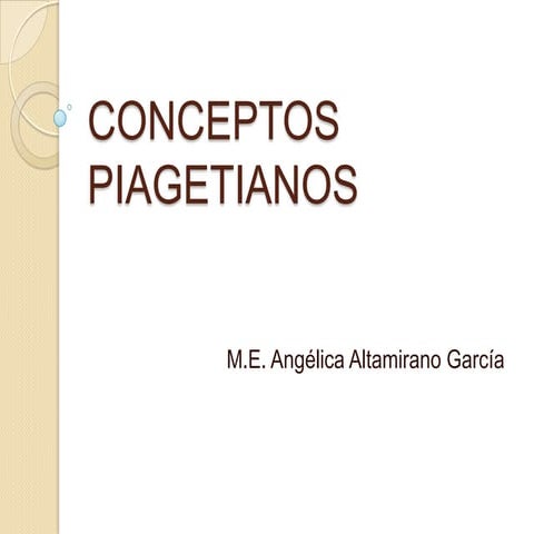 Conceptos piagetianos