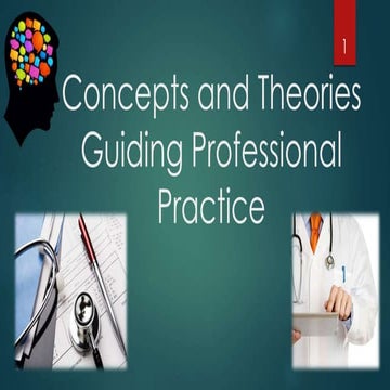 Concepts and theories guiding professional practice