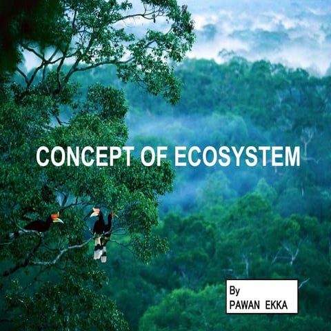 Concepts of ecosystem