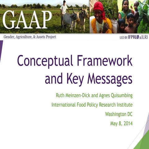 Conceptual Framework and Key Messages 