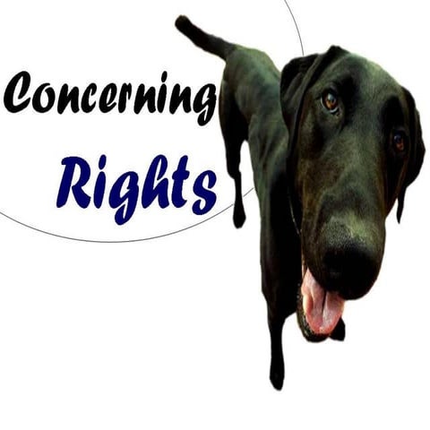 Concerning Animal Rights: Part One - Welfare