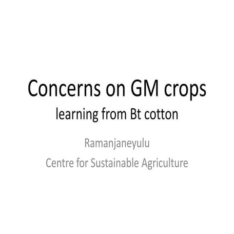 Concerns on gm crops | PPTX