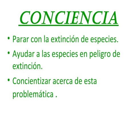 Conciencia