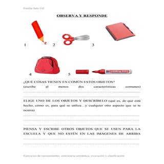 Conciencia sem razonam