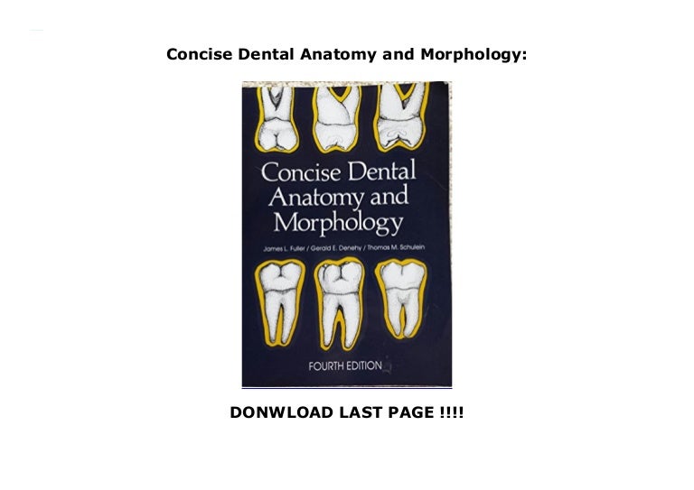 Concise Dental Anatomy and Morphology