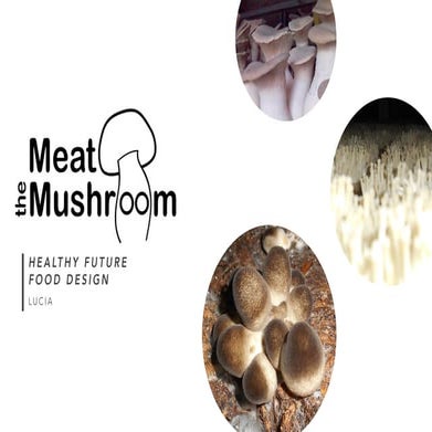 Meat the Mushroom Project in Taiwan