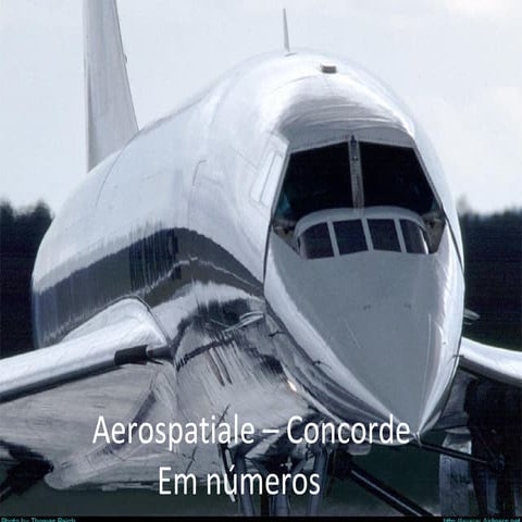 E Do Caralho | PPS