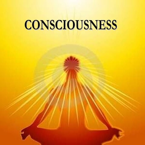 Conciousness