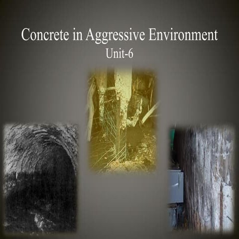 Concrete in Aggressive Environment 