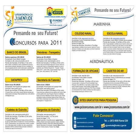 Panfleto Concursos Públicos | PDF