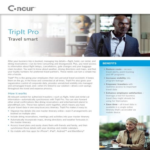 Concur TripIt Pro Flyer