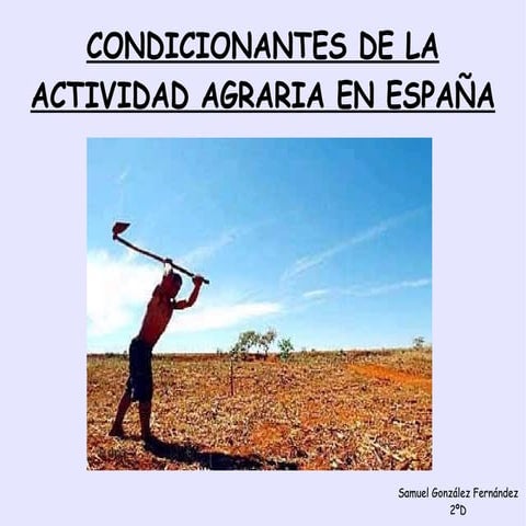 Condicionantes actividad agraria