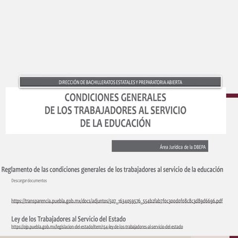 Condiciones generales derechos y obligaciones | PDF