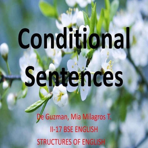 Conditional sentences